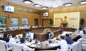 Tổng kết, đánh giá kỹ lưỡng việc thực hiện các chính sách phòng, chống dịch COVID-19