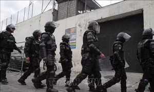 Ecuador chìm trong bất ổn do các băng nhóm tội phạm hoành hành