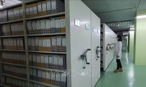 Phê duyệt nhiệm vụ, giải pháp lưu trữ dự phòng tài liệu lưu trữ giai đoạn 2026 - 2035