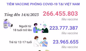 Tình hình tiêm vaccine phòng COVID-19 tại Việt Nam tính đến hết ngày 14/6/2023