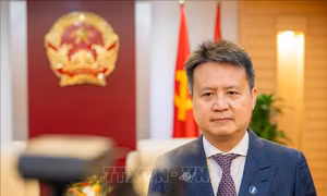 Tổng Giám đốc WIPO: Chúng tôi cam kết đồng hành cùng Việt Nam xây dựng nền kinh tế tri thức