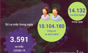 Ngày 24/8: Số mắc mới COVID-19 mới tăng lên 3.591 ca