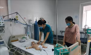 Đắk Lắk ghi nhận hai trường hợp bệnh nhi mắc viêm não Nhật Bản