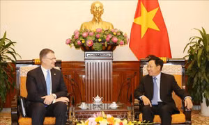 Phó Thủ tướng Phạm Bình Minh tiếp Đại sứ Hoa Kỳ Daniel Kritenbrink