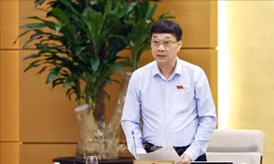 Bảo đảm tính khả thi, hiệu quả của dự án đầu tư xây dựng đường Vành đai 4 TP Hồ Chí Minh