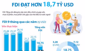 9 tháng năm 2022: Thu hút FDI đạt hơn 18,7 tỷ USD, tăng 84,7% so với cùng kỳ năm 2021