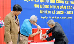 Những nội dung cần lưu ý trước khi tiến hành kiểm phiếu