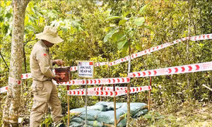 Hoàn thành rà phá bom mìn tại Di tích quốc gia đặc biệt Thành cổ Quảng Trị
