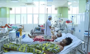 Quảng Ngãi: Tích cực điều trị cho bệnh nhân ngừng tim do ăn cá nóc