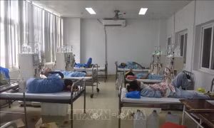 Quá tải bệnh nhân chạy thận nhân tạo tại Đắk Lắk