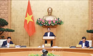Giữ vững kỷ luật, kỷ cương, thực hiện giải pháp thúc đẩy phát triển kinh tế - xã hội