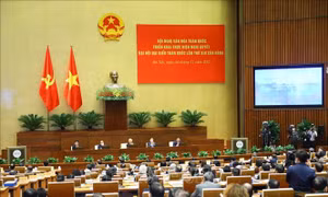 Xây dựng, phát triển văn hóa, con người đáp ứng yêu cầu phát triển nhanh và bền vững đất nước