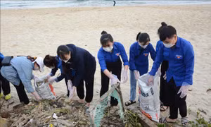 Tuổi trẻ Đà Nẵng tham gia làm sạch biển