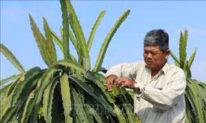 Phát huy bản lĩnh người lính Cụ Hồ trên vùng đất khó