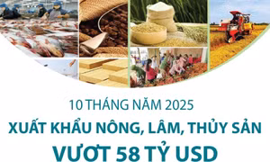 10 tháng năm 2025: Xuất khẩu nông, lâm, thủy sản vượt 58 tỷ USD