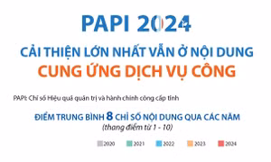 PAPI 2024: Cải thiện lớn nhất vẫn ở nội dung Cung ứng dịch vụ công
