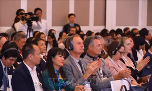 Hội nghị hợp tác giữa các địa phương Việt Nam - Pháp: Hội thảo chuyên đề 'Văn hóa, Di sản và Du lịch'