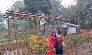 Hà Nội nghiên cứu phát triển bãi giữa, bãi bồi ven sông Hồng thành công viên văn hóa du lịch