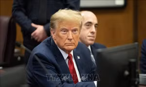 Cựu Tổng thống Mỹ Donald Trump bị phạt gần 355 triệu USD