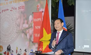 Kiều bào tại Ai Cập vui Tết cộng đồng, vơi nỗi nhớ nhà