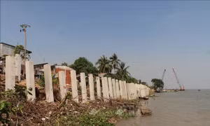 Điều chỉnh chính sách xây dựng cụm dân cư vùng ngập lũ Đồng bằng sông Cửu Long
