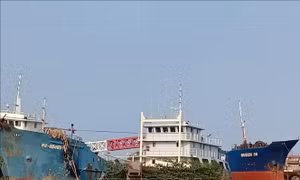Chưa mua được bảo hiểm, nhiều 'tàu cá 67' phải nằm bờ
