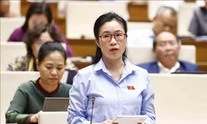 Quản lý thực phẩm chức năng, mỹ phẩm 'xách tay' trên thị trường