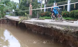 Tiền Giang: Đê bao Tây Ba Rày sạt lở nghiêm trọng