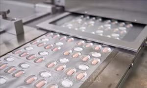 Pfizer đề nghị Mỹ cấp phép chính thức cho thuốc Paxlovid trong điều trị COVID-19