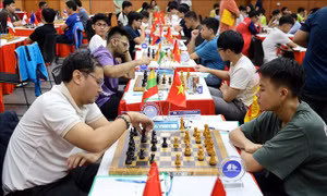 Khai mạc Giải Cờ vua đại kiện tướng, kiện tướng quốc tế Quảng Ninh lần thứ II