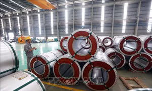 Australia gia hạn điều tra với ống thép chính xác của Việt Nam