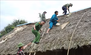 Chỉ đạo của Ban Bí thư về việc ứng phó với cơn bão số 3 (Wipha)