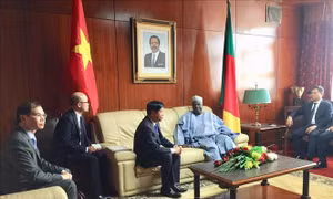 Đặc phái viên Thủ tướng, Thứ trưởng Ngoại giao Nguyễn Quốc Cường làm việc tại Cameroon