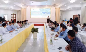 Khôi phục vùng đất ngập nước Đồng bằng sông Cửu Long