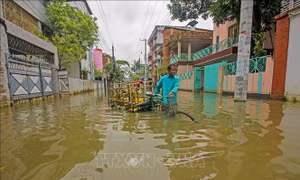 Mưa lũ tại Bangladesh và Ấn Độ làm hàng triệu người mắc kẹt, hàng chục người chết