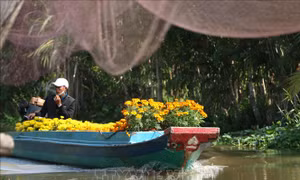 Thuyền hoa xuân trên sông nước Hậu Giang 