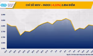 Giá bạc tăng vọt, nhóm năng lượng ‘gây sức ép’ lên MXV-Index