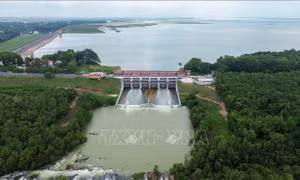 Tăng năng lực quản lý, vận hành an toàn hồ chứa nước Dầu Tiếng
