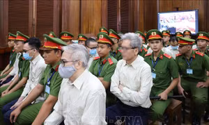 Vụ án liên quan đến Cục Đăng kiểm Việt Nam: Nhiều bị cáo thừa nhận hành vi nhận hối lộ
