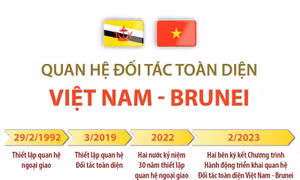 Quan hệ Đối tác toàn diện Việt Nam - Brunei