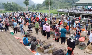 Du lịch Việt Nam: Độc đáo chợ phiên San Thàng, Lai Châu