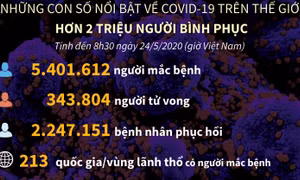 Trên 5,4 triệu ca mắc, 343.800 ca tử vong do dịch COVID-19