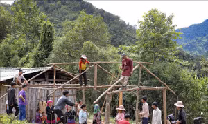 Sớm bố trí tái định cư cho người dân sống dưới cung trượt sạt lở ở Mường Nhé