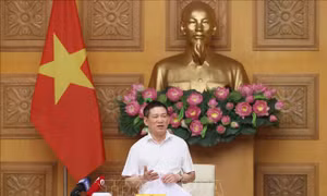 Phó Thủ tướng Hồ Đức Phớc họp về sắp xếp tổ chức bộ máy của 2 Ủy ban và Ngân hàng Nhà nước