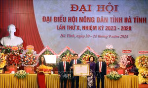 Nông dân Hà Tĩnh đoàn kết, sáng tạo xây dựng nông thôn mới