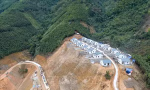 'Mầm xanh' trên vùng đất mới Kho Vàng