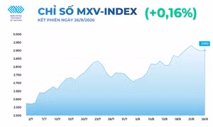 Thị trường hàng hóa thế giới tiếp tục biến động, MXV-Index trở lại vùng 2.900 điểm