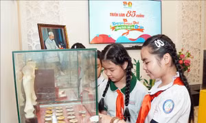 Tự hào trang sử Đội Thiếu niên Tiền phong Hồ Chí Minh