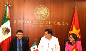 Việt Nam - Mexico hướng tới 50 năm kỷ niệm thiết lập quan hệ ngoại giao