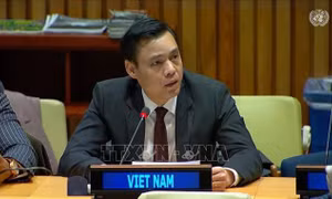 Việt Nam cam kết ủng hộ nỗ lực giải trừ vũ khí hạt nhân toàn cầu